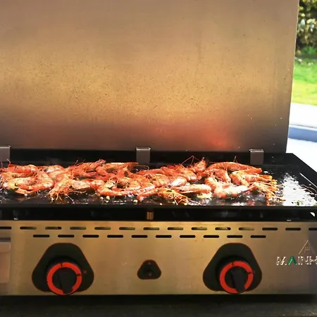 Casa de Férias Maison 4 Avec Piscine, à 8 Min Du De - Fr-1-521-249 *